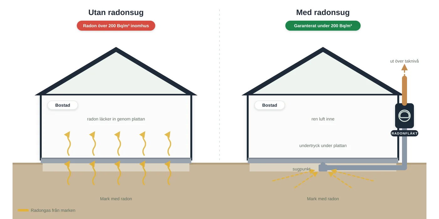 Jämförelse: utan radonsug läcker markradon in genom bottenplattan, med radonsug skapar en fläkt undertryck under plattan och leder gasen ut över taket